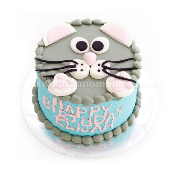 CKR07 Mousey Sweetest Moments Birthday Cake Buttercream Fondant 6 inch