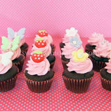 CM05 Mini Girl Sweetest Moments Full Month Mini Cupcake Buttercream Fondant
